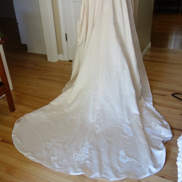 NWT $599 DAVID’S BRIDAL Champaign Beaded Pleated Sleeveless Wedding Dress – Sz 4 - Picture 5 of 11